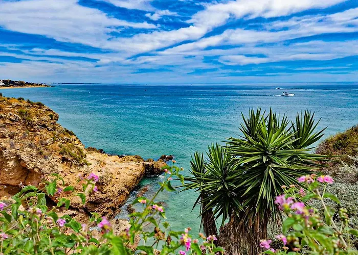 Studio Ocean View